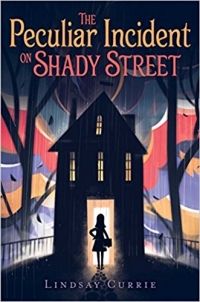 The Peculiar Incident On Shady Street