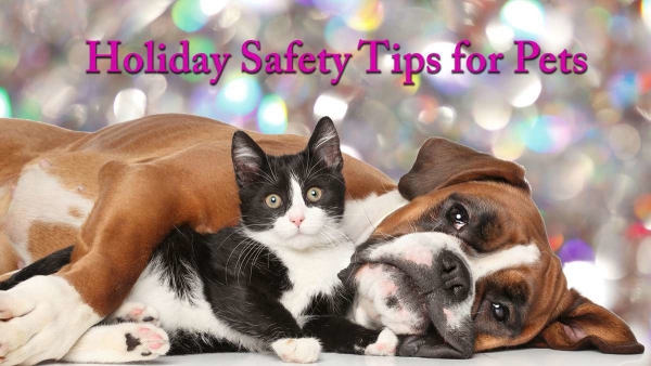Holiday Safety Tips