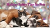Holiday Safety Tips