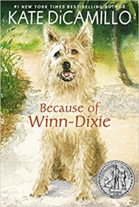Because of Winn-Dixie
