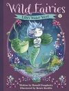 Wild Fairies: Lily’s Water Woes